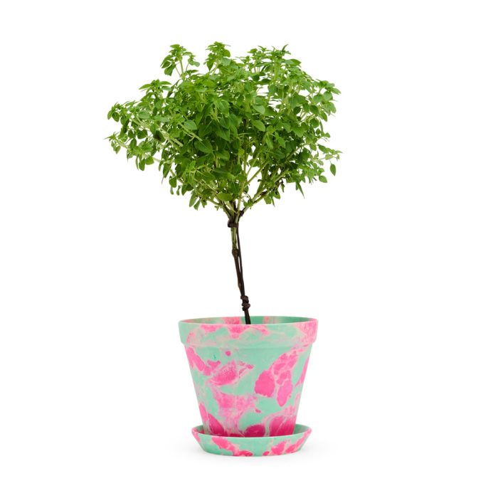 Blumen Marbled Planter and Saucer Set – Pink/ Green