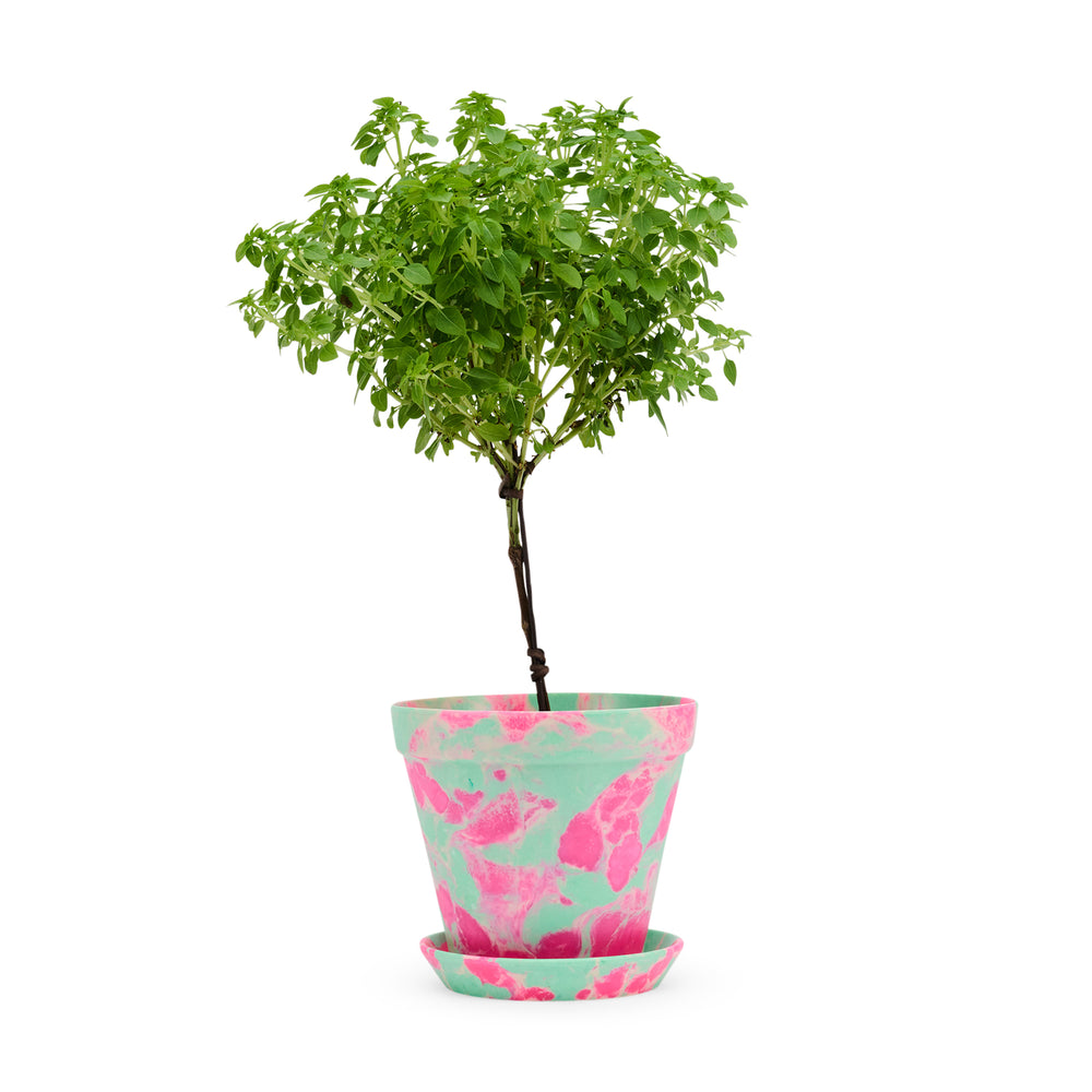 Blumen Marbled Planter and Saucer Set – Pink/ Green