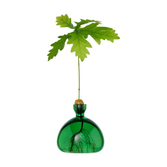 Acorn Vase – Emerald Green