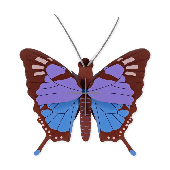 DIY Mini Butterfly Kit – Crysalus Butterfly