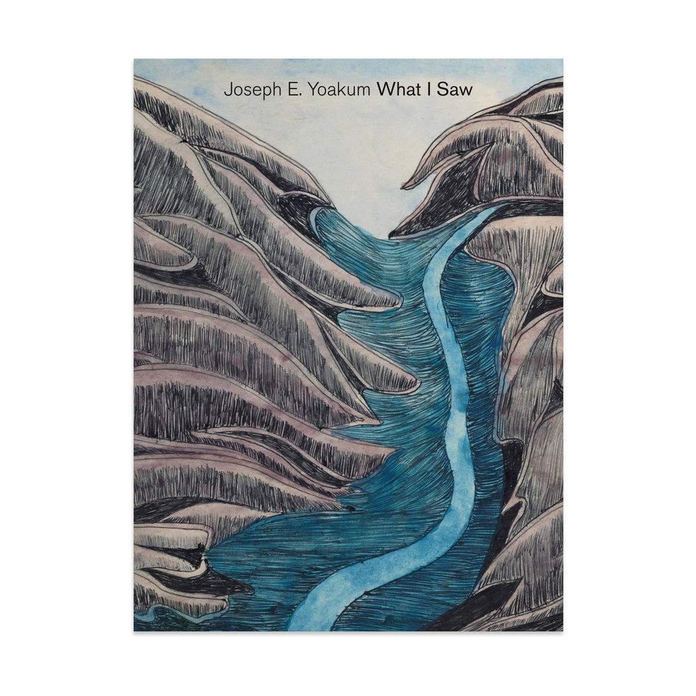 Joseph Yoakum: What I Saw – Hardcover