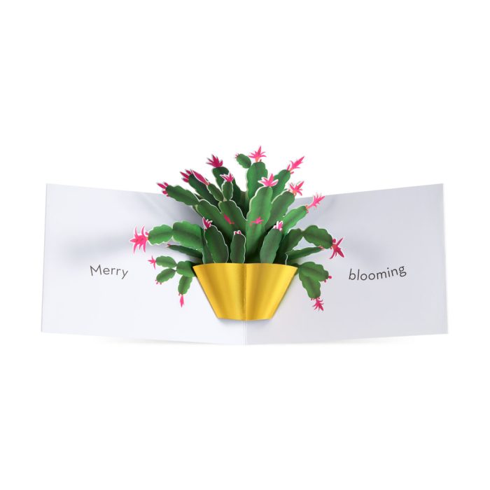 Christmas Cactus Holiday Pop-Up Cards – Set of 8