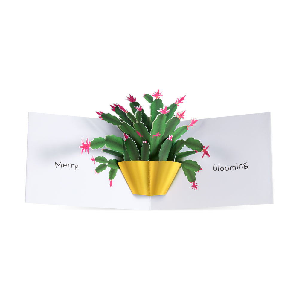 Christmas Cactus Holiday Pop-Up Cards – Set of 8