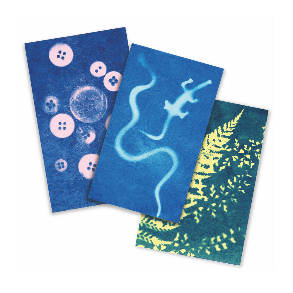 Sunography Solar-Powered Photography Kit – Set of 5 Color Cards