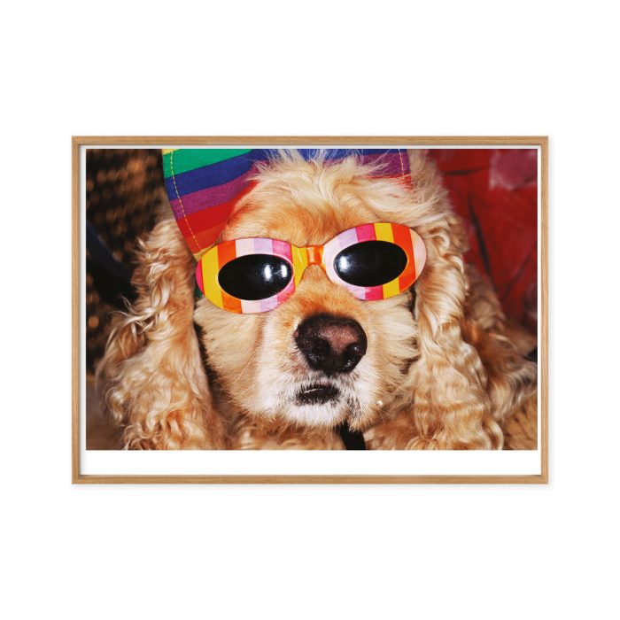 Martin Parr Venice Beach Framed Poster
