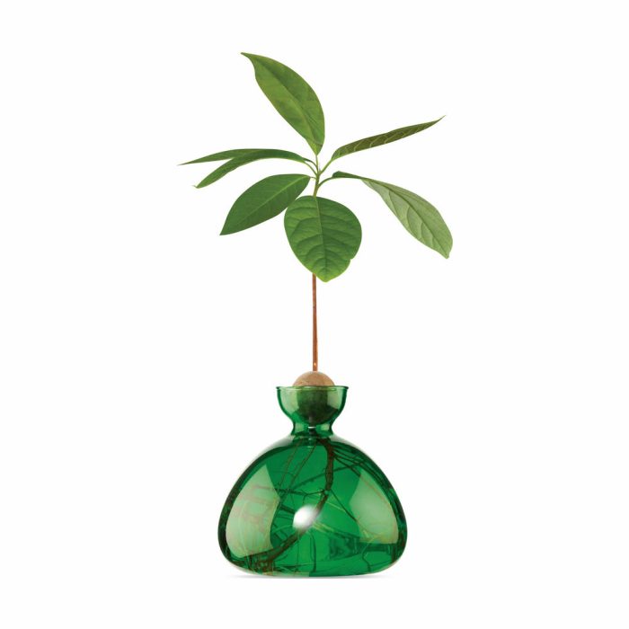 Avocado Vase – Emerald Green
