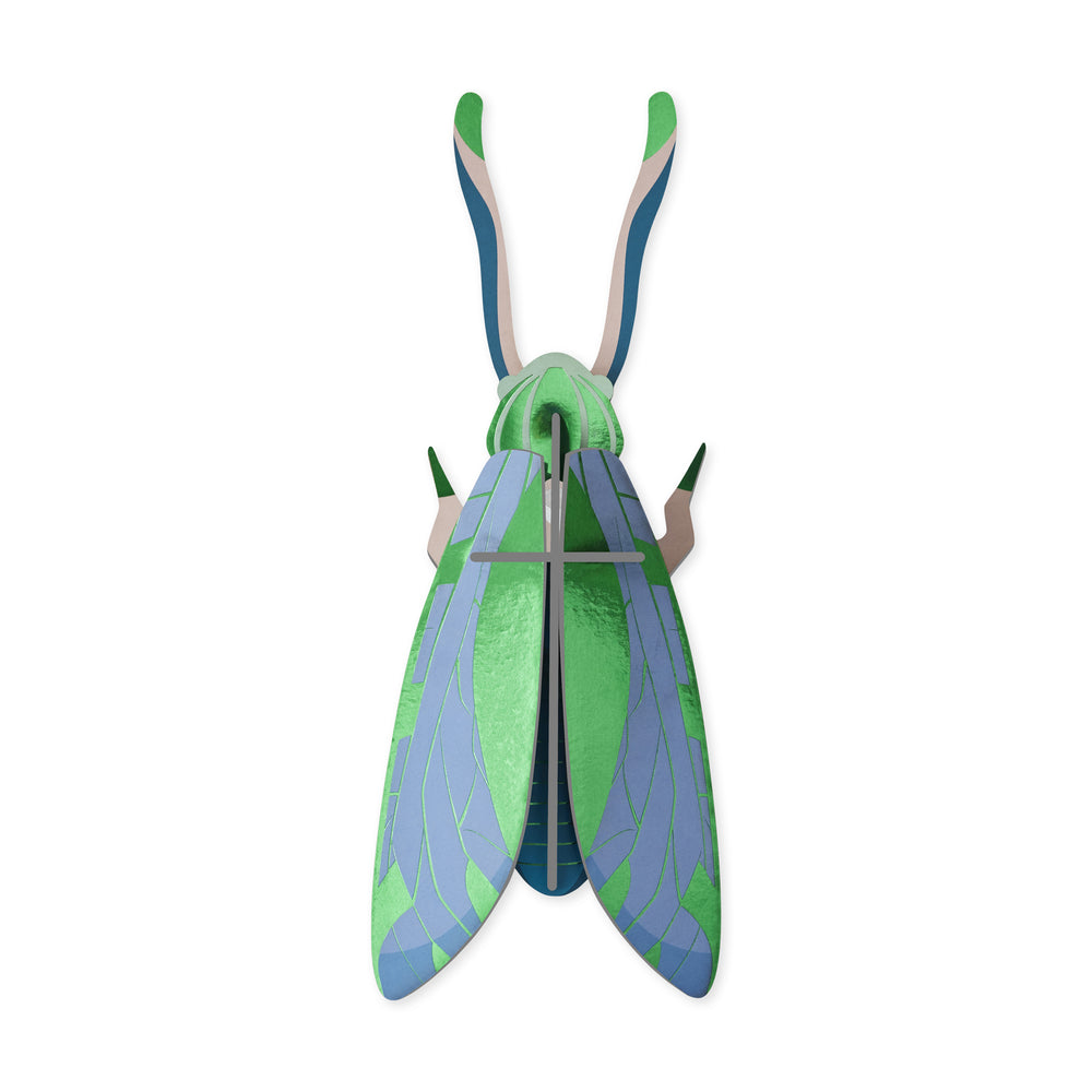 DIY Giant Beetle Kit – Jade Grasshopper