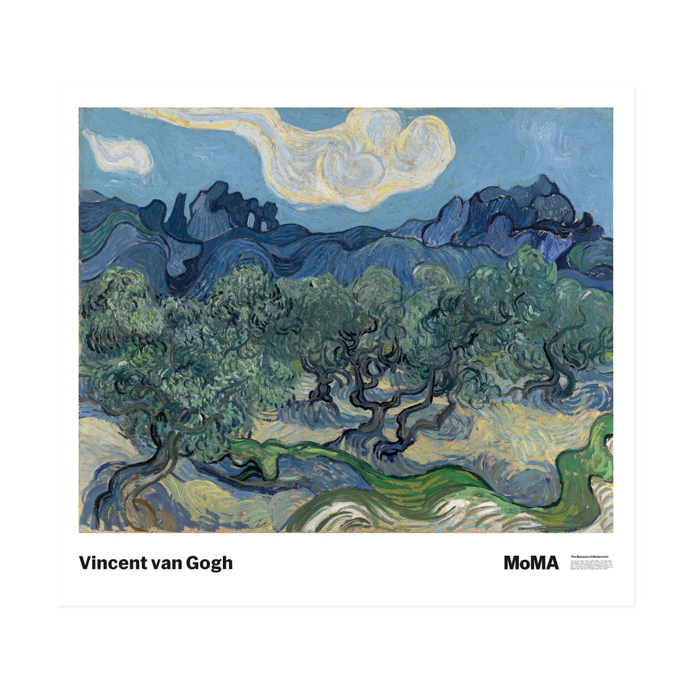 Poster van Gogh: The Olive Trees