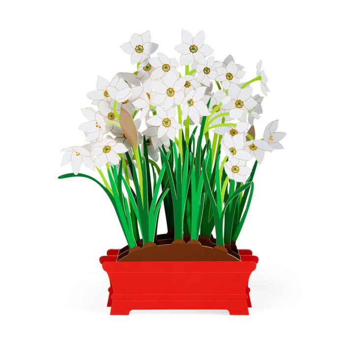 Festive Paperwhites Holiday Pop-Up Cards – Set of 8