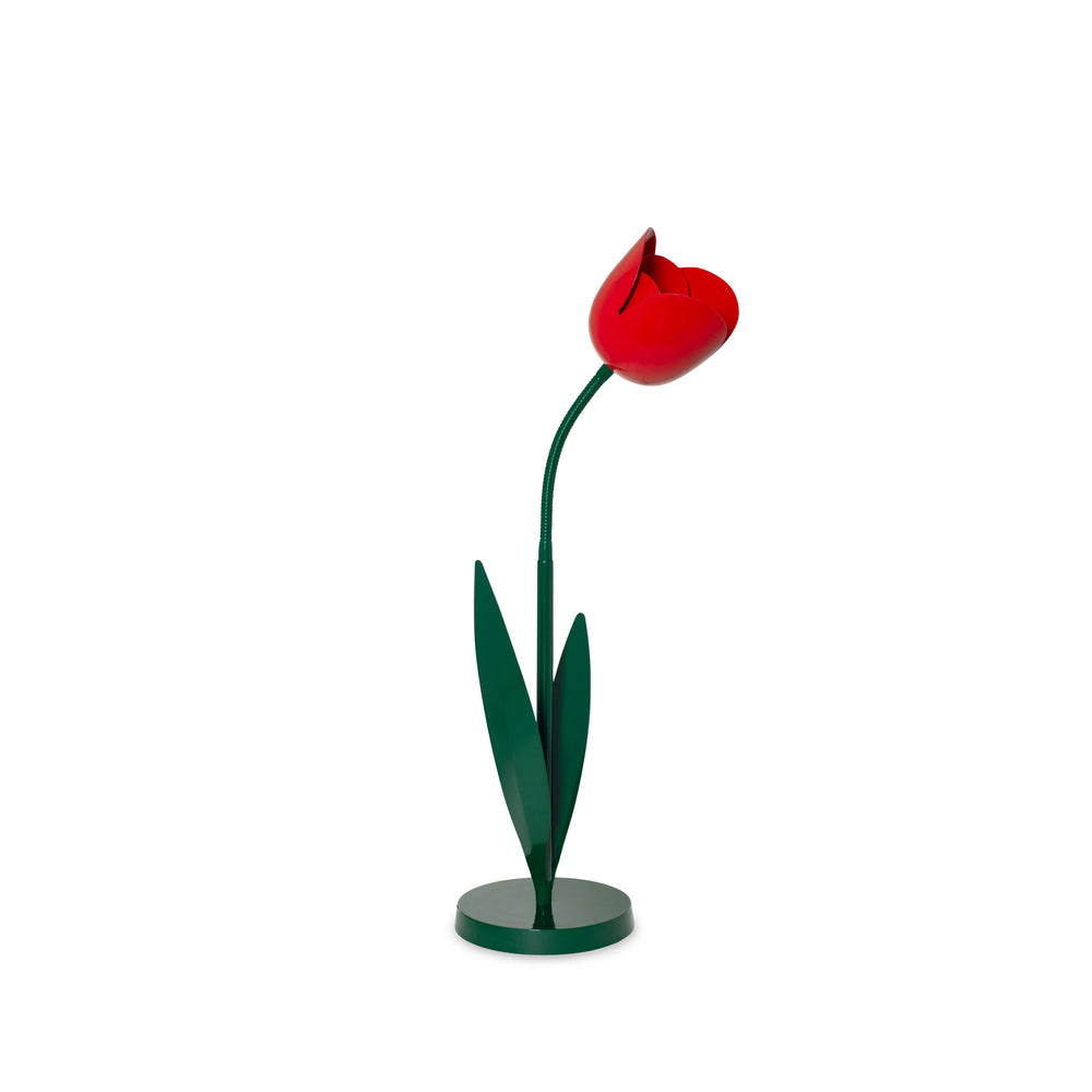 Flower Lamp – Red Tulip