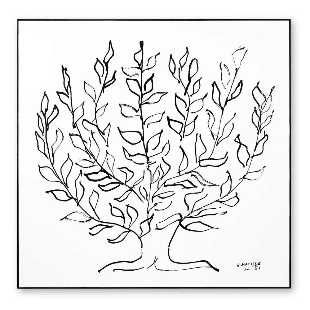 Matisse: Le Platane Framed Print