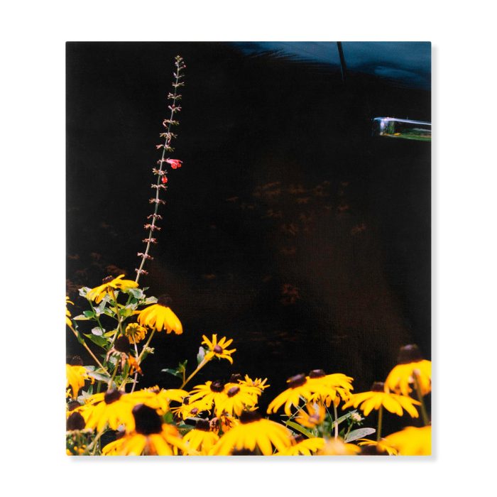 Mystery Street, Photographs by Vasantha Yogananthan – Hardcover