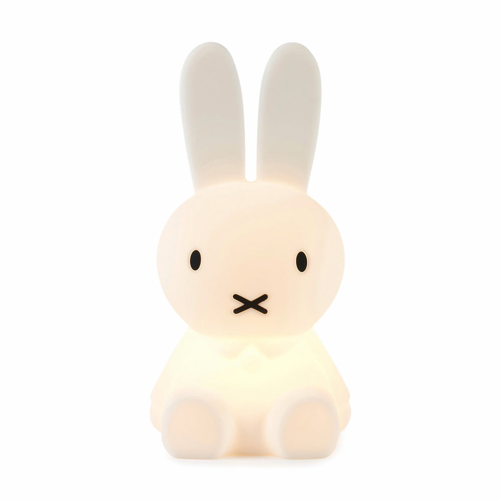 Miffy and Friends Silicone Rechargeable Lights – Miffy