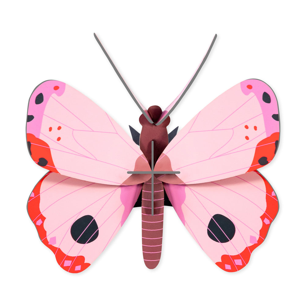 DIY Mini Butterfly Kit – Rosora Butterfly