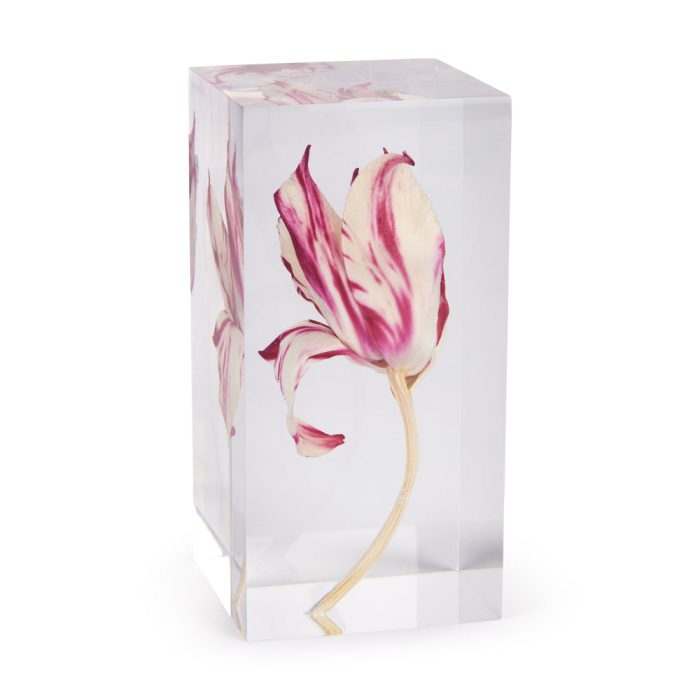 Rare Tulip Objet d’Art