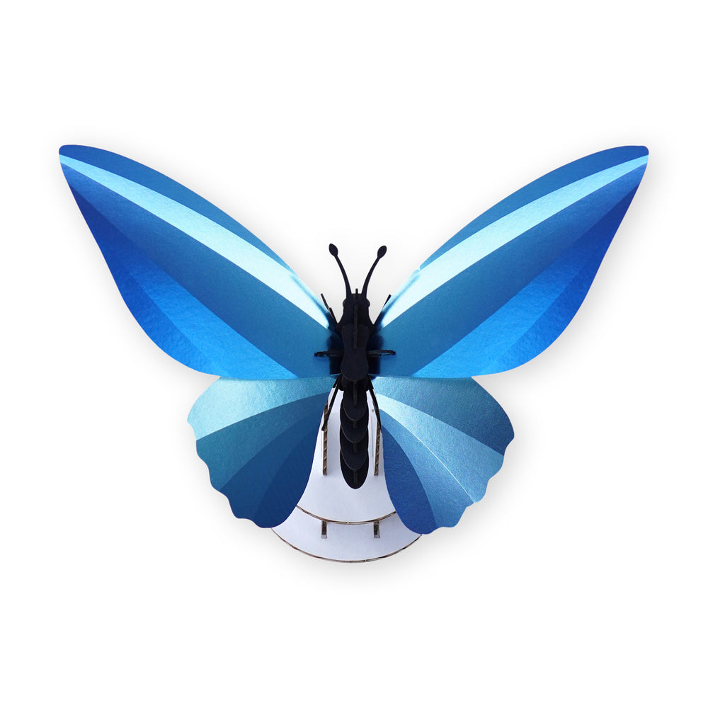 Creature 3D Puzzle DIY Kit – Butterfly