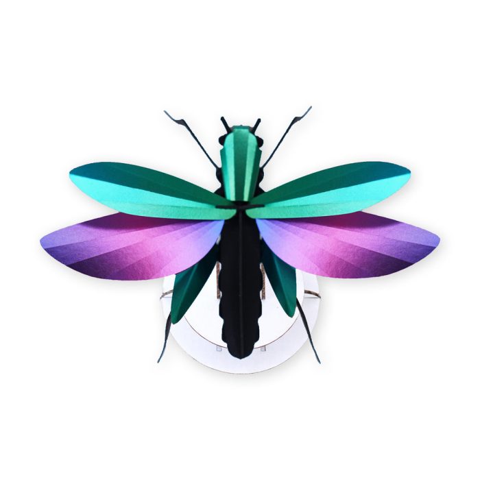 Creature 3D Puzzle DIY Kit – Grasshopper