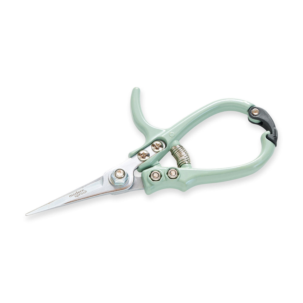 Modern Sprout Pruning Shears