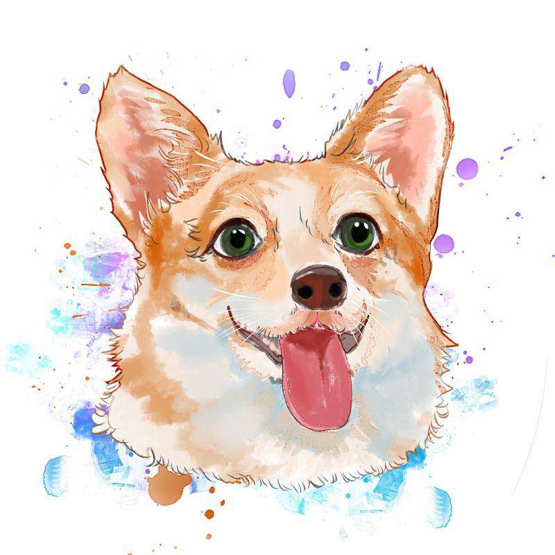 Chihuahua For Children