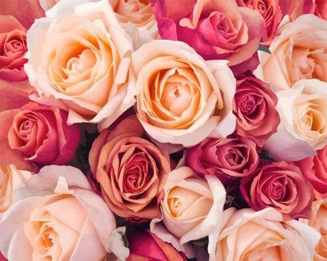 Color Orange Peach Roses