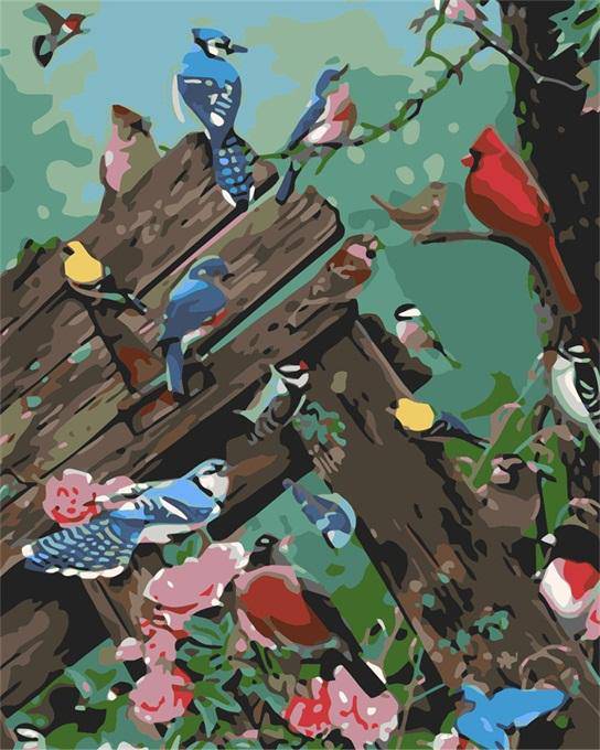 Colorful Birds party