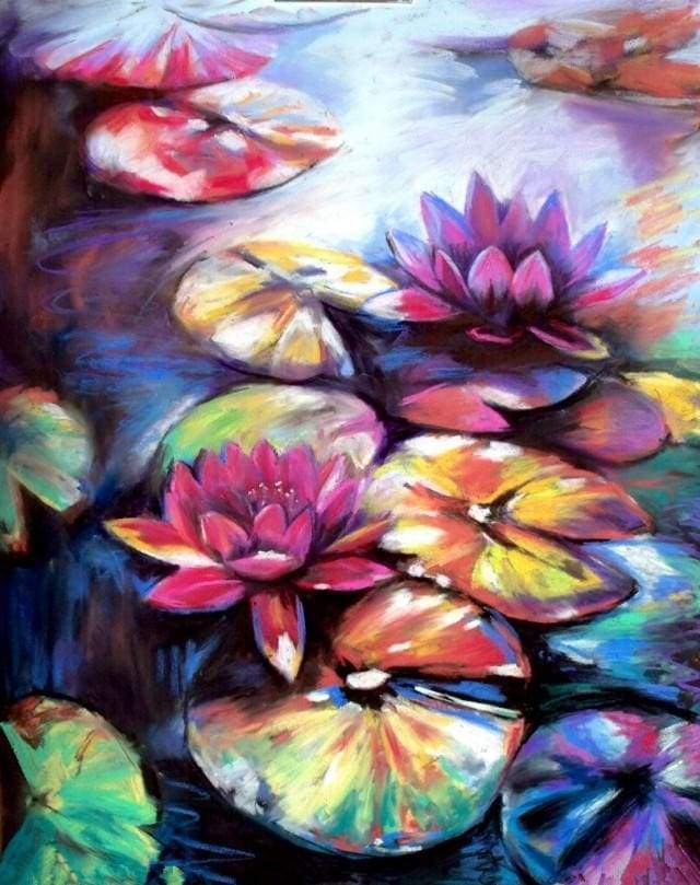 Colorful Water lilies