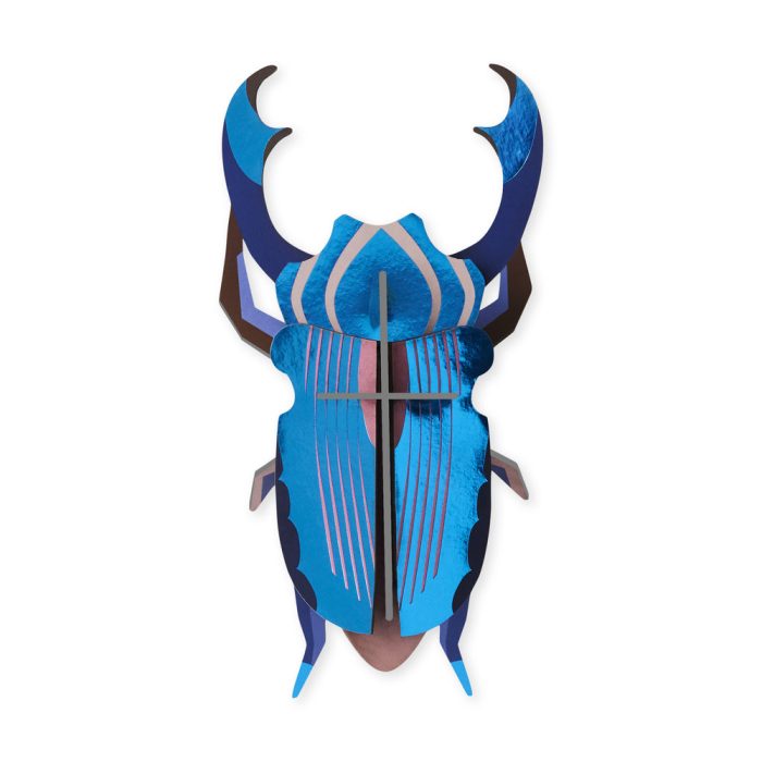 DIY Giant Beetle Kit – Azure Stag Beetle