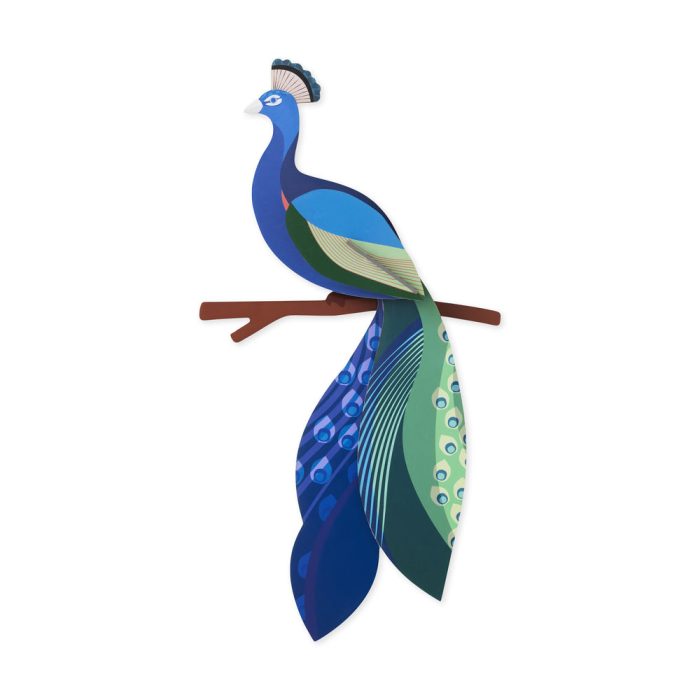 DIY Giant Peacock Kit
