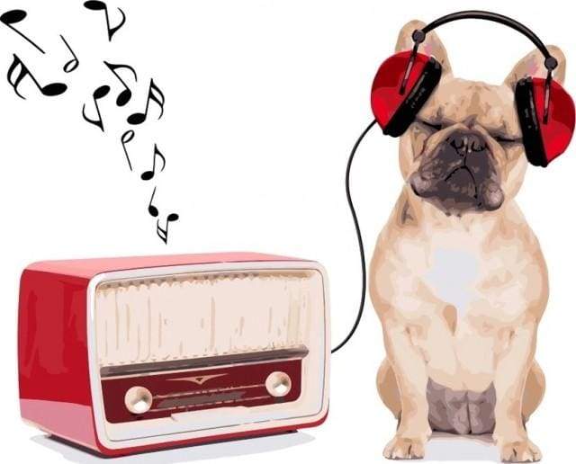 Dog Listening to Music