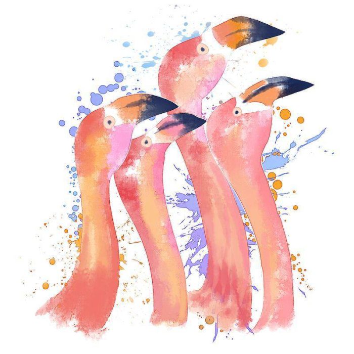 Flamingos For Children