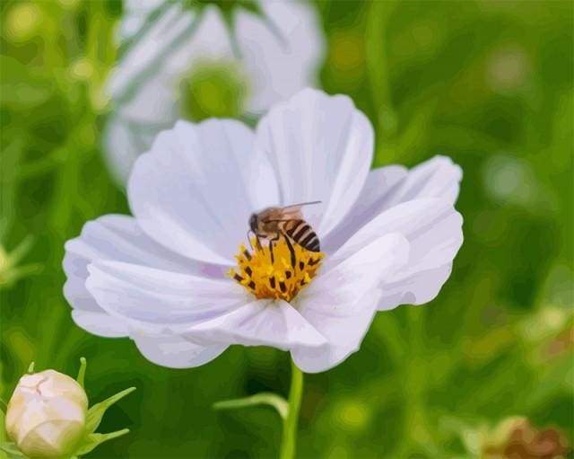 Flower Bees