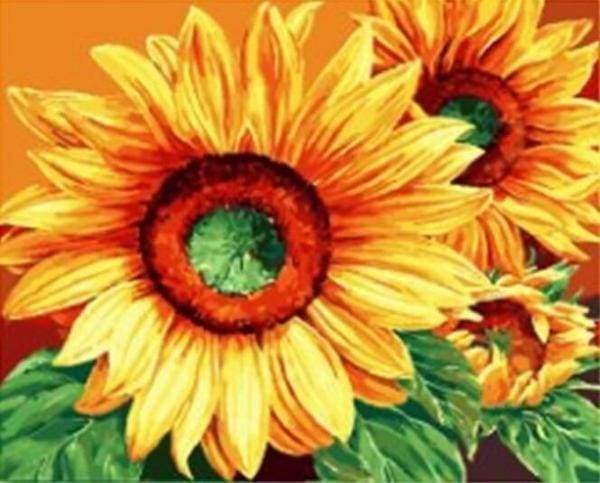 Large Sunflowers