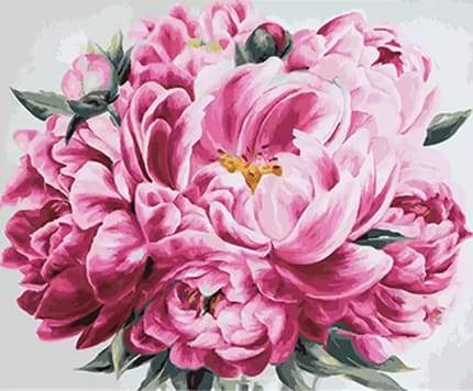 Pink Peony